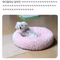 자다 깨어난 강아지의 모습