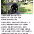 미래를 계획했지만 실패한 동물의 최후