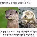 잊을 수 없는 역대급 비유