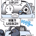 대구 사람들이 전기차를 타면 소리를 지르는 이유
