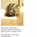 금양 상장폐지 소식에 오열하는 투자자