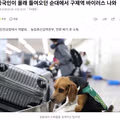 중국산 밀수 순대에서 구제역 바이러스 검출