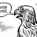 향후 정치 상황에 대한 개인적인 예측