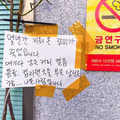 몇 년 동안 정성껏 키운 장미가 죽었습니다
