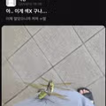 성에 대해 깨달음을 얻은 경북대학교 학생