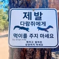 다람쥐 먹이 주기 금지 경고 표지판