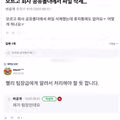 다양한 유머 짤 모음