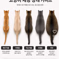 냥이가 돼냥이인지 아닌지 알 수 있는 법