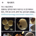 간이식 심장이식은 있지만 눈이식은 없는 이유