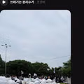 올공 시위대 관련 다양한 이야기들