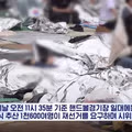 빛의 혁명을 동경한 누군가의 모습