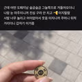 낮에 시위 구경 갔다가 더워서 그늘에 앉아있던 후기