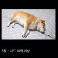 30대 성공의 기준에 대하여
