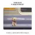 지하철에서 당황스러운 상황 발생