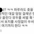 디시인사이드에서 고소가 무서운 사람들의 반응