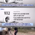 미국 대통령의 자녀라면 가능할 법한 일