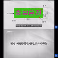 초보운전 표시 부착 의무가 사라진 이유