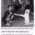 동네에서 발견한 신기한 아저씨