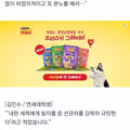 내란 세력에 빌미를 줬다는 MBC의 주장