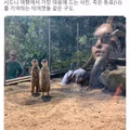 죽은 동료를 기억하는 미어캣의 모습