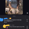 아내를 깎아내리다 들통난 남편의 최후