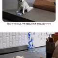 노숙견인 줄 알고 돈을 주고 간 사연