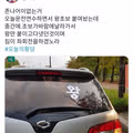 운전 연습하다 순식간에 신분 상승한 썰
