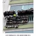 호불호 갈리는 아파트 베란다 구조