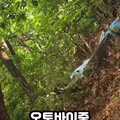 오토바이 중 가장 안전한 종류