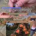 해충 방역을 위해 어디까지 가능할까