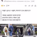 서울역 비둘기 떼에 놀란 외국인들의 반응