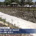 제주 반려동물 수영장 공사 중단 및 환경청 조사 착수