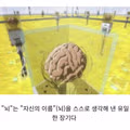 자기 이름을 스스로 지은 장기