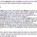 고양이를 향한 새덕후의 귀여운 선전포고