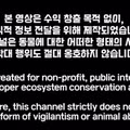 조류 유리 충돌 방지보다 고양이 보호에만 집중하는 상황에 대한 논쟁