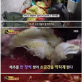 생활의 달인 실사판 등장