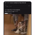 강제 팀 이동을 당한 사람의 프로필 사진