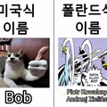 미국 이름과 폴란드 이름의 차이