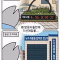 대구의 명물로 소문난 풍경