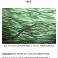 한중일 세 나라가 연합한 드문 사례