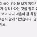 선량한 시민들이 고양이를 잡아야 한다고 주장하는 이유