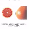 외형과 효능이 닮은 음식들