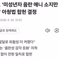 헌법재판소 미성년자 음란 애니메이션 소지 처벌 합헌 결정
