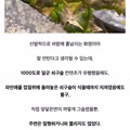 의외로 방화와 내열성이 뛰어난 천연 소재