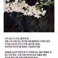 해탈한 30대 남성의 일상