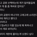 개에게 개라고 불렀다가 욕먹은 사연
