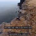 마라도 뿔쇠오리 죽인 범인을 찾는 집요한 추적기