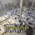 성수동에서 만나는 이색적인 휴식 공간