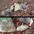 사라진 유물 조각을 찾아낸 대학생