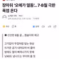 한반도 40도 돌파하는 역대급 무더위 예고